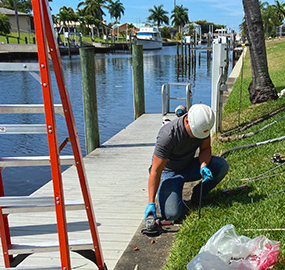Seawall Repair