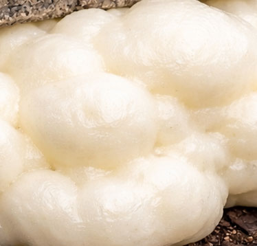 Raise It Up with Polyurethane Foam!